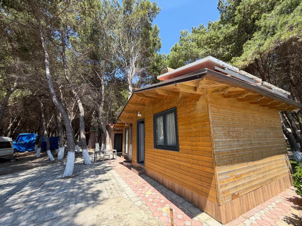Wooden bungalow exterior surrounded by pines